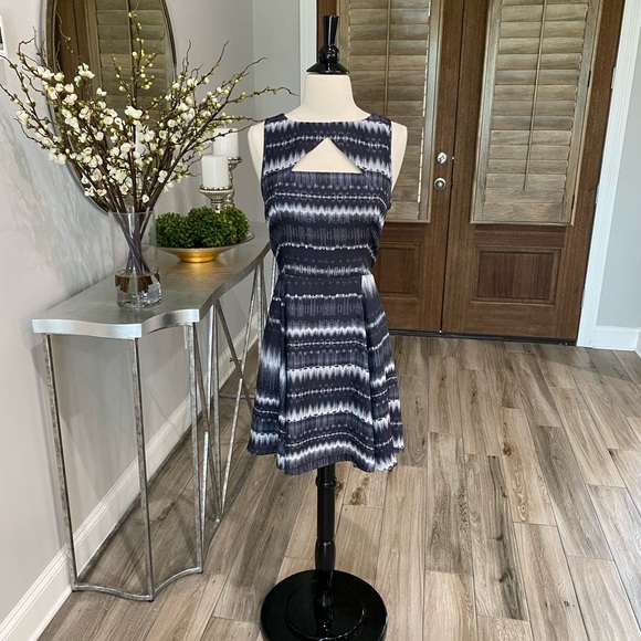 BB Dakota Dresses & Skirts - BB DAKOTA Sleeveless Peek-A-Boo Front and Back Blue/Gray and White Dress Size 4